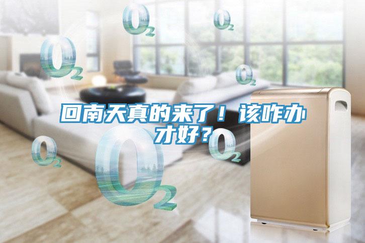 回南天真的來(lái)了！該咋辦才好？