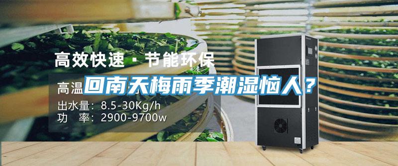 回南天梅雨季潮濕惱人？