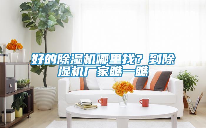 好的除濕機哪里找？到除濕機廠家瞧一瞧