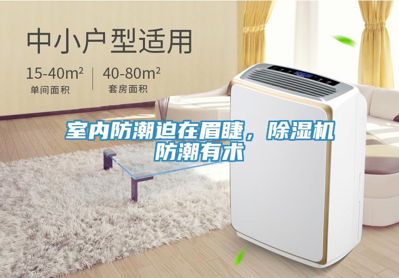 室內(nèi)防潮迫在眉睫，除濕機(jī)防潮有術(shù)