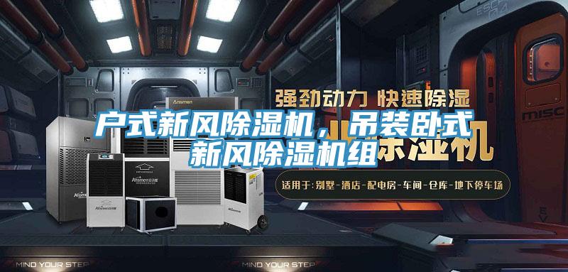 戶式新風(fēng)除濕機(jī)，吊裝臥式新風(fēng)除濕機(jī)組