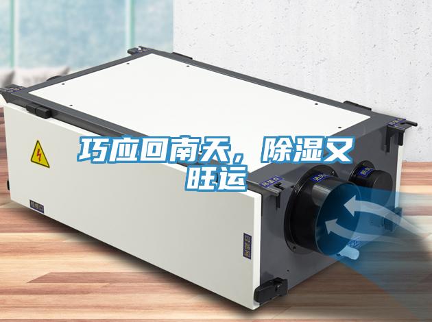 巧應回南天，除濕又旺運