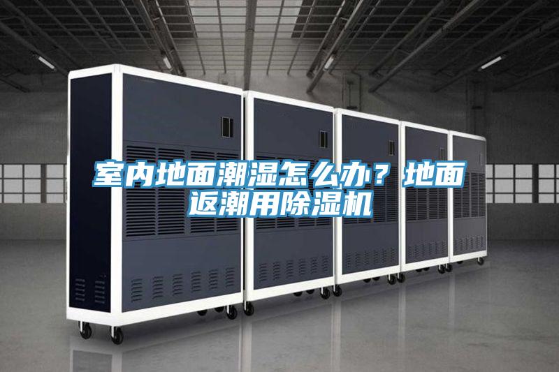 室內(nèi)地面潮濕怎么辦？地面返潮用除濕機