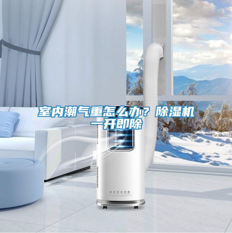 室內(nèi)潮氣重怎么辦？除濕機一開即除