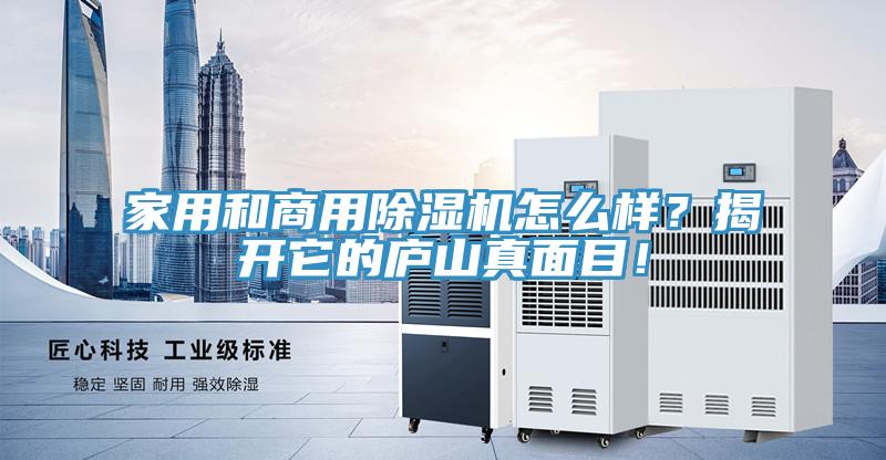 家用和商用除濕機(jī)怎么樣？揭開(kāi)它的廬山真面目！