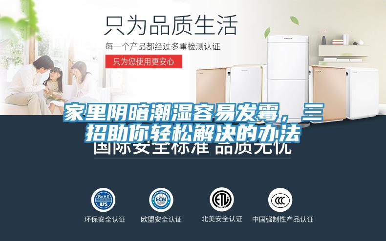 家里陰暗潮濕容易發(fā)霉，三招助你輕松解決的辦法