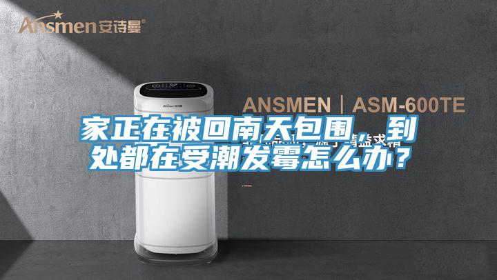 家正在被回南天包圍，到處都在受潮發(fā)霉怎么辦？