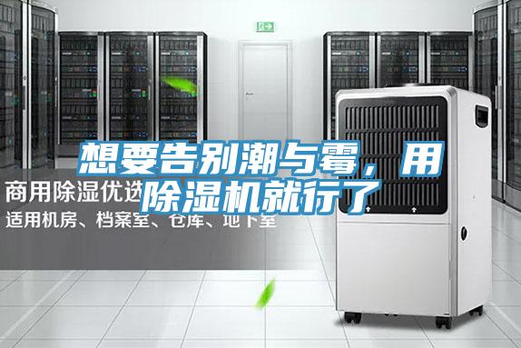 想要告別潮與霉，用除濕機就行了