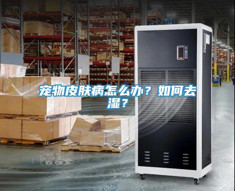 寵物皮膚病怎么辦？如何去濕？