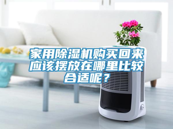家用除濕機(jī)購(gòu)買回來應(yīng)該擺放在哪里比較合適呢？