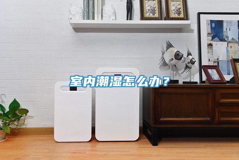 室內(nèi)潮濕怎么辦？