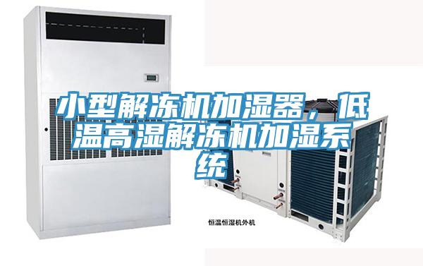 小型解凍機加濕器，低溫高濕解凍機加濕系統(tǒng)