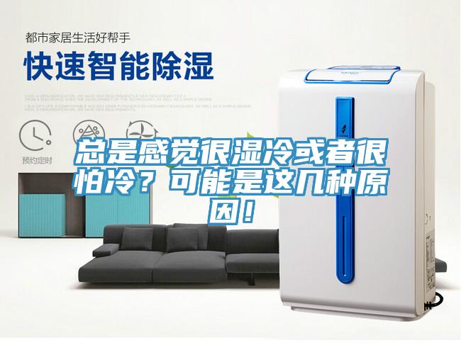 總是感覺很濕冷或者很怕冷？可能是這幾種原因！