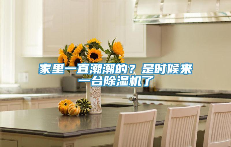 家里一直潮潮的？是時候來一臺除濕機(jī)了