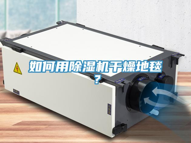 如何用除濕機干燥地毯？