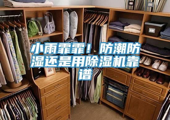 小雨霏霏！防潮防濕還是用除濕機(jī)靠譜