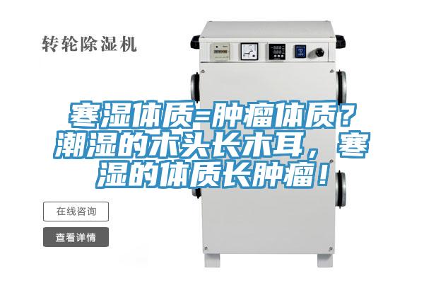 寒濕體質=腫瘤體質？潮濕的木頭長木耳，寒濕的體質長腫瘤！