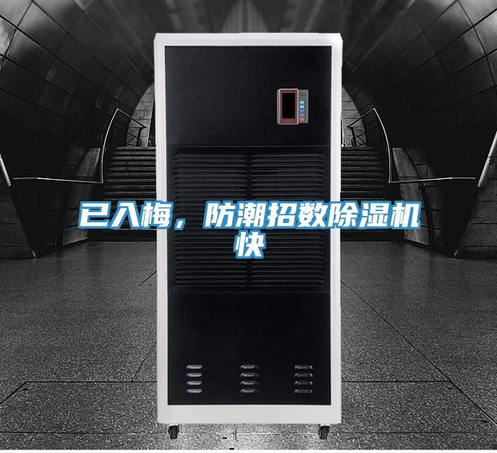 已入梅，防潮招數(shù)除濕機(jī)快