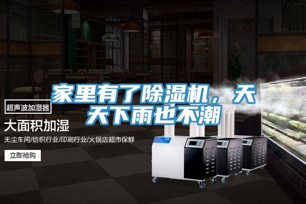 家里有了除濕機，天天下雨也不潮