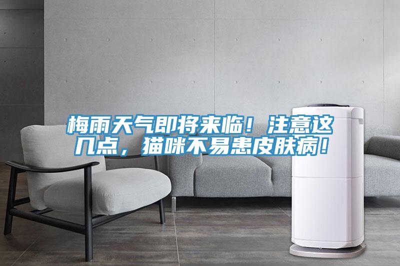 梅雨天氣即將來臨！注意這幾點(diǎn)，貓咪不易患皮膚?。?/></p>
                            <p style=