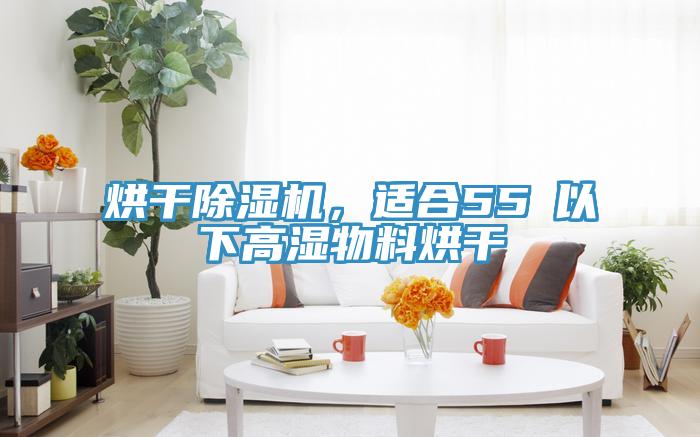 烘干除濕機(jī)，適合55℃以下高濕物料烘干