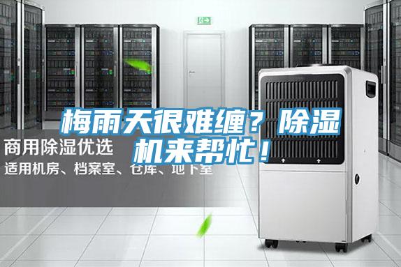 梅雨天很難纏？除濕機(jī)來(lái)幫忙！