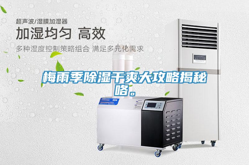 梅雨季除濕干爽大攻略揭秘咯。