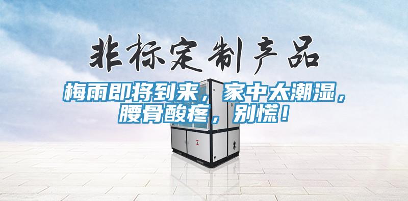 梅雨即將到來，家中太潮濕，腰骨酸疼，別慌！