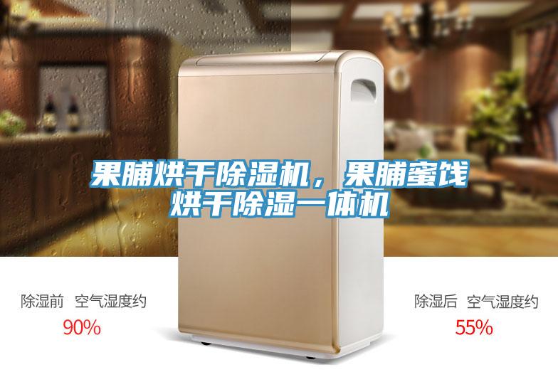 果脯烘干除濕機，果脯蜜餞烘干除濕一體機
