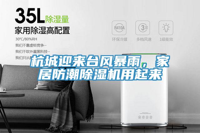 杭城迎來(lái)臺(tái)風(fēng)暴雨,家居防潮除濕機(jī)用起來(lái)