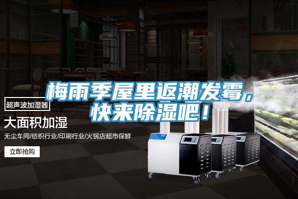 梅雨季屋里返潮發(fā)霉，快來(lái)除濕吧！