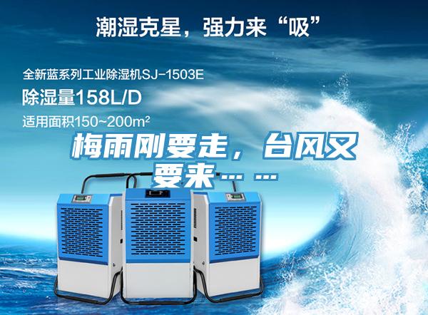 梅雨剛要走，臺風又要來……