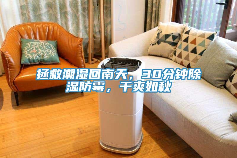 拯救潮濕回南天，30分鐘除濕防霉，干爽如秋