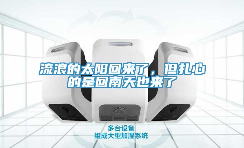 流浪的太陽回來了，但扎心的是回南天也來了