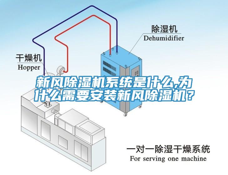 新風除濕機系統(tǒng)是什么,為什么需要安裝新風除濕機？