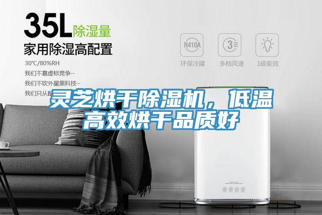 靈芝烘干除濕機(jī)，低溫高效烘干品質(zhì)好