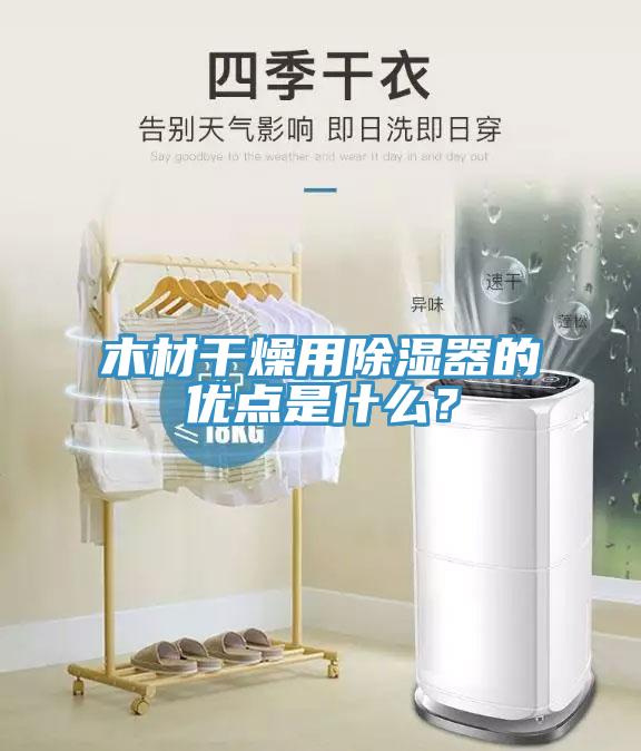 木材干燥用除濕器的優(yōu)點(diǎn)是什么？