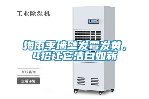梅雨季墻壁發(fā)霉發(fā)黃，4招讓它潔白如新