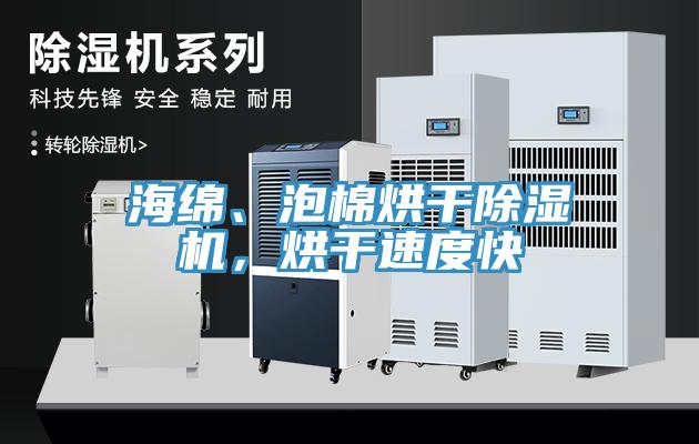 海綿、泡棉烘干除濕機(jī)，烘干速度快