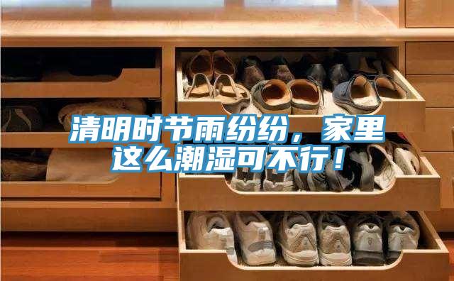 清明時(shí)節(jié)雨紛紛，家里這么潮濕可不行！