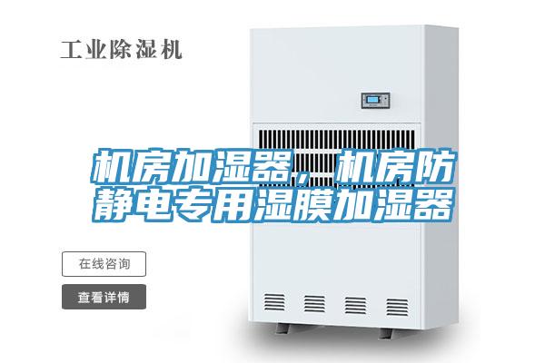機(jī)房加濕器，機(jī)房防靜電專用濕膜加濕器