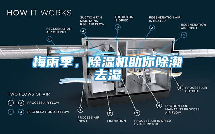 梅雨季，除濕機助你除潮去濕