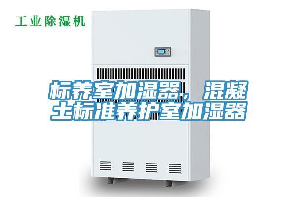 標(biāo)養(yǎng)室加濕器，混凝土標(biāo)準(zhǔn)養(yǎng)護室加濕器