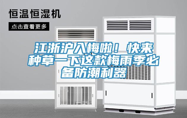 江浙滬入梅啦！快來種草一下這款梅雨季必備防潮利器
