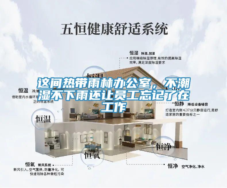 這間熱帶雨林辦公室，不潮濕不下雨還讓員工忘記了在工作
