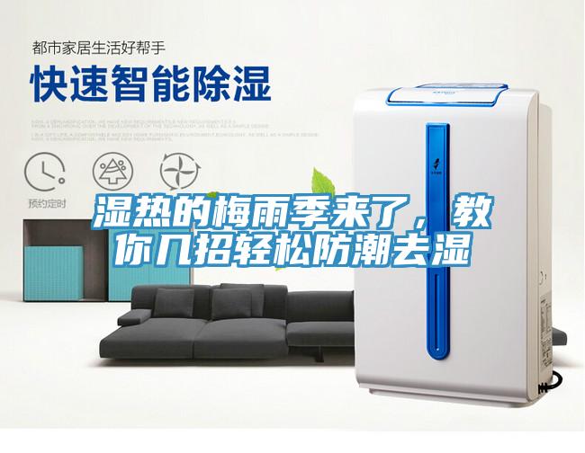 濕熱的梅雨季來(lái)了，教你幾招輕松防潮去濕