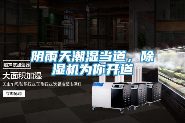陰雨天潮濕當(dāng)?shù)?，除濕機為你開道