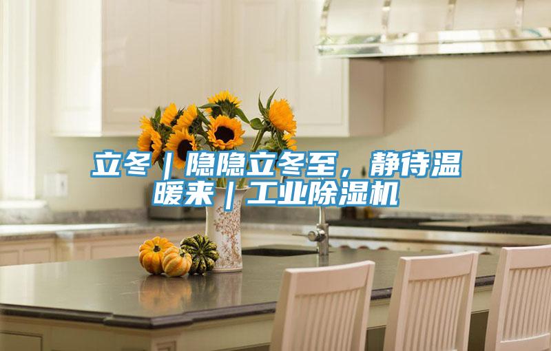 立冬｜隱隱立冬至，靜待溫暖來｜工業(yè)除濕機(jī)