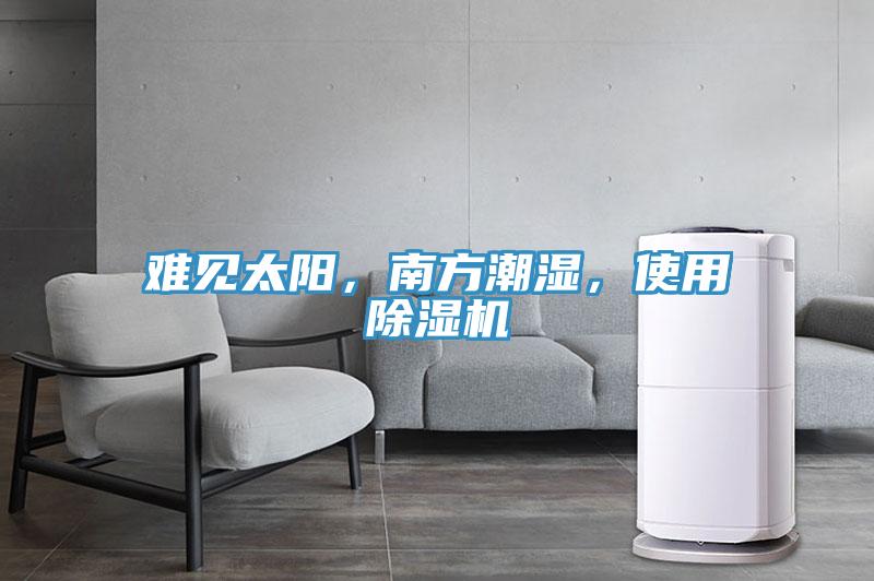 難見太陽，南方潮濕，使用除濕機(jī)