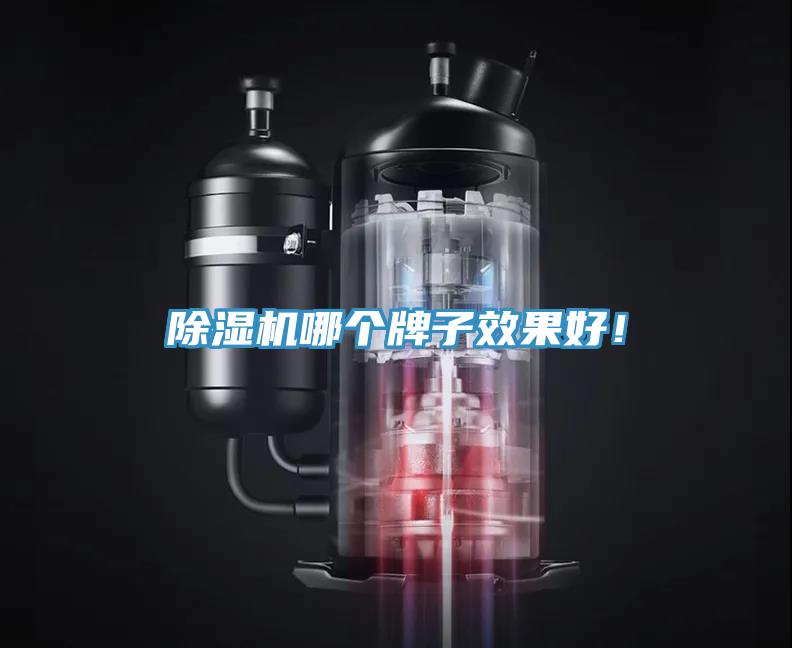 除濕機(jī)哪個牌子效果好！